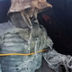 Illustration for article titled This Chic Skeleton Is Honestly a Better Passenger Than I Ever Will Be